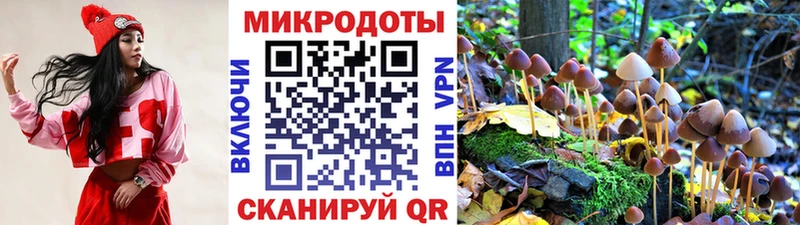 Галлюциногенные грибы ЛСД  Светлогорск 